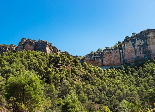 Plages et nature